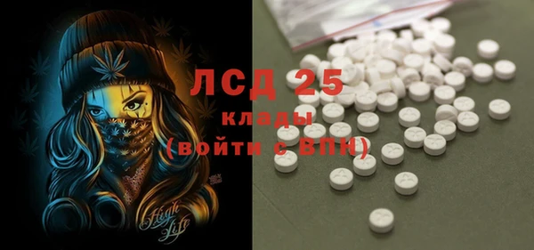 a pvp Болотное