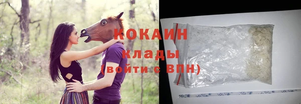 a pvp Болотное