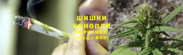 шишки Абдулино