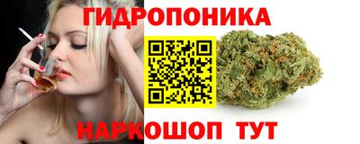 бутират Кингисепп