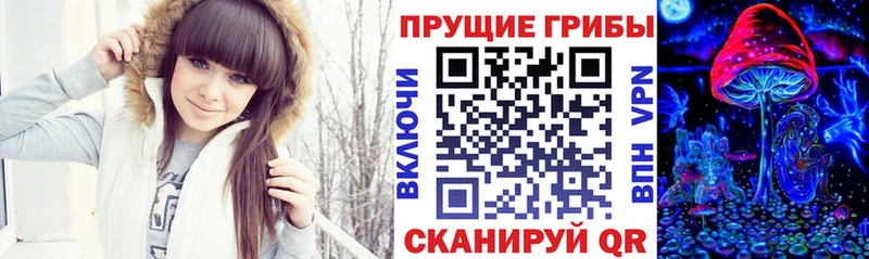 Псилоцибиновые грибы Psilocybe  закладка  Кудымкар 
