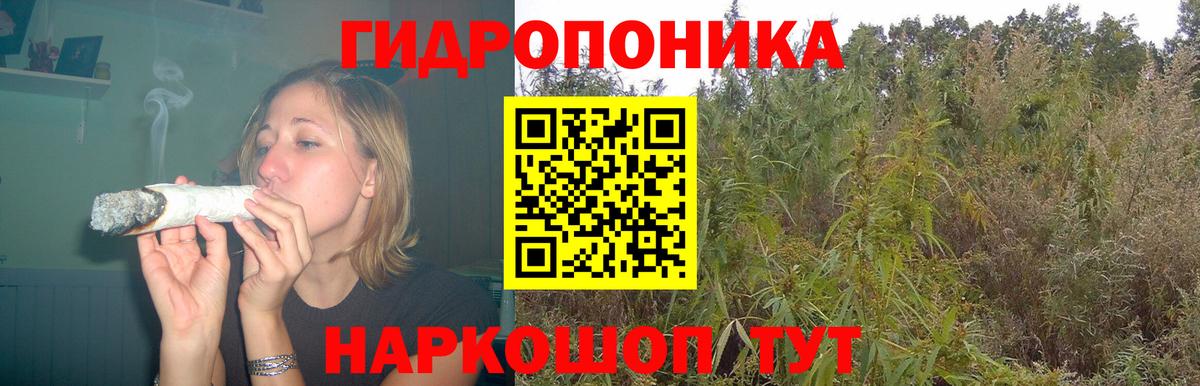Бошки марихуана SATIVA & INDICA  Бошки Шишки семена  Кудымкар  Вход с VPN  Марихуана планчик 